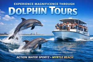 Dolphin tours in Myrtle Beach SC