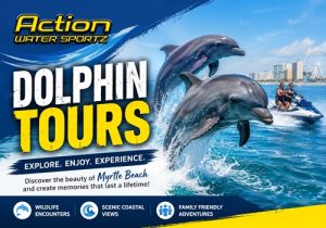 dolphin tours in Myrtle Beach SC
